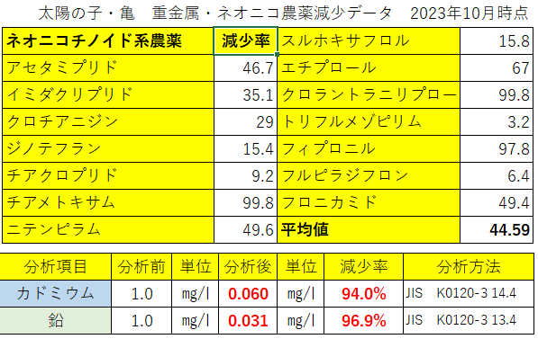 太陽の子・亀