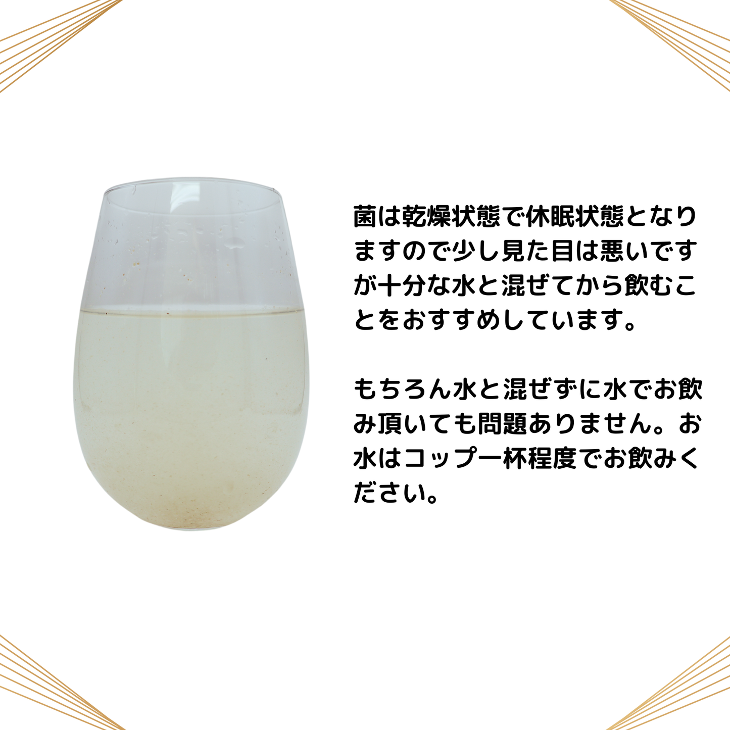 【受注品】NB菌コアベータ 黒酵母βグルカン 粉末30g(カプセルはありません)