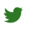 files/twiiter.png