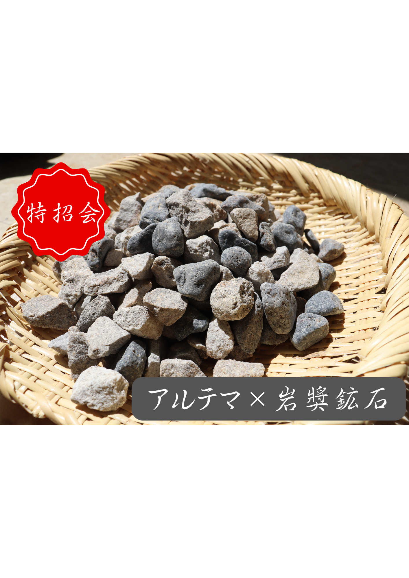 【特招会】アルテマ × 岩奬鉱石