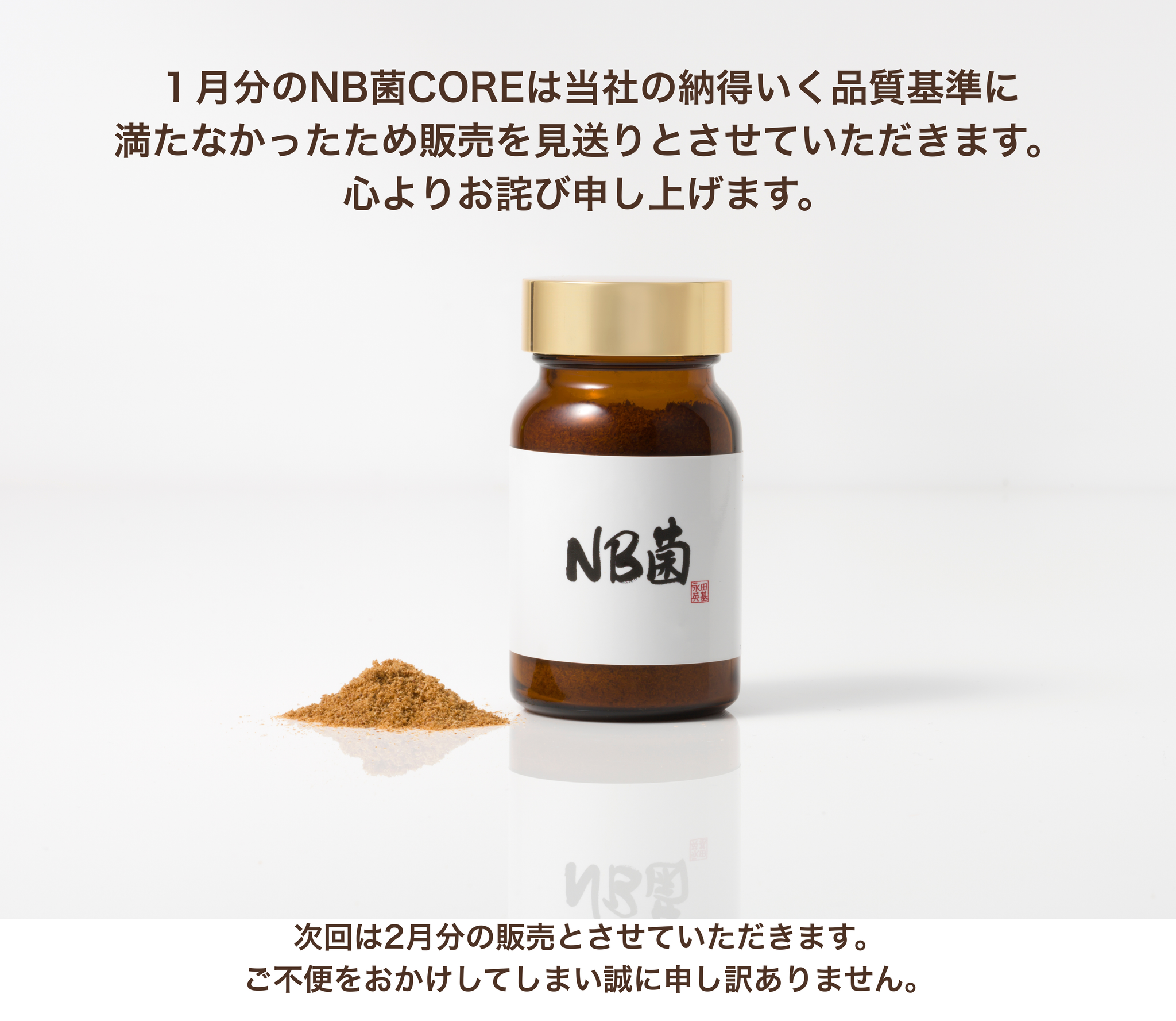 【公式 1月分販売見送ります】NB菌CORE（コア） 粉末タイプ 30g