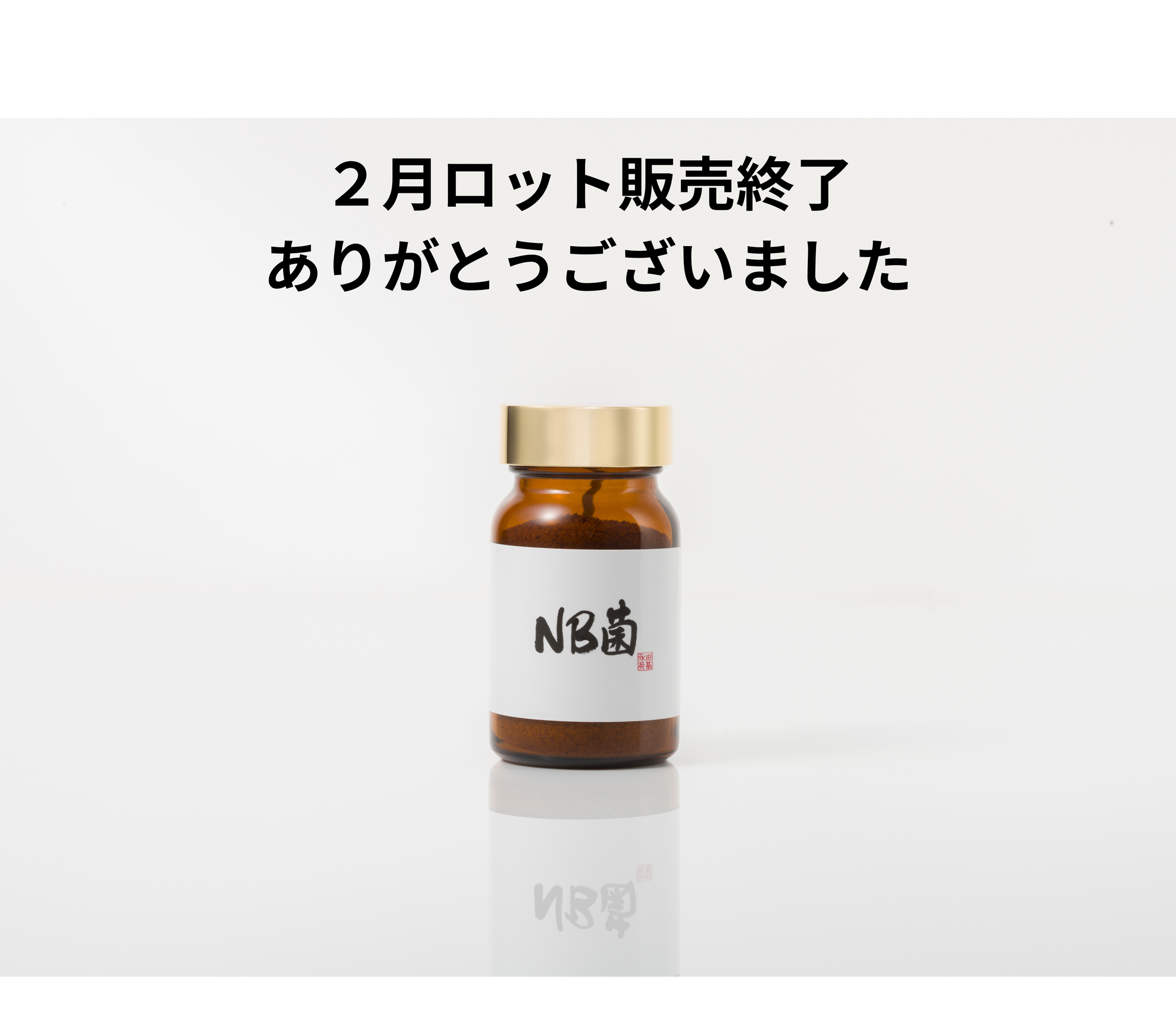 2月ロット販売終了　【公式 】2/16 NB菌CORE（コア） 粉末タイプ 30g
