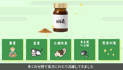 【公式】NB菌 粉末タイプ 30g